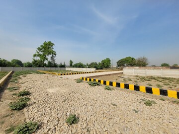 Plot Area in  Plot at Barha – for Sale