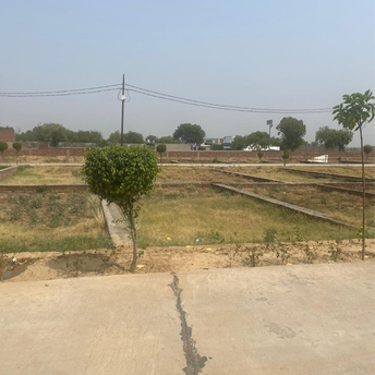 Plot For Resale in Jai Gang Aligarh  7080832