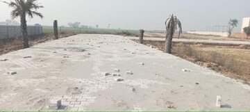 Plot Area in  Plot at Tappal – for Sale