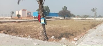 Plot Area in  Plot at Tappal – for Sale