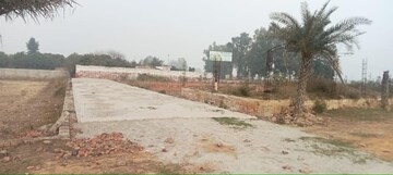 Plot Area in  Plot at Tappal – for Sale