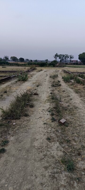 Plot Area in  Plot at Vasant Kunj – for Sale
