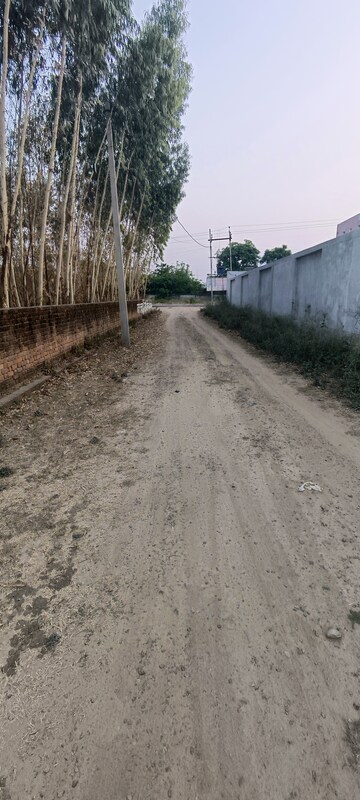  Plot – Exterior View View at Tiwaripur - for Sale