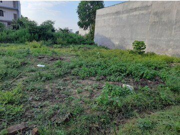 Plot Area in  Plot at Mubarakpur – for Sale