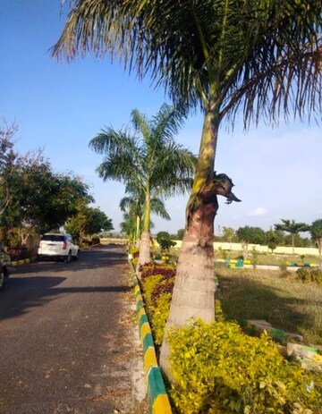  Plot – Garden View at Mandur - for Sale