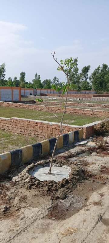 Plot Area in  Plot at Mohanlalganj – for Sale