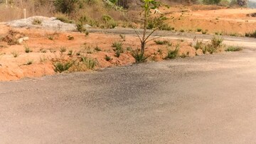 Plot Area in  Plot at Rajapet – for Sale