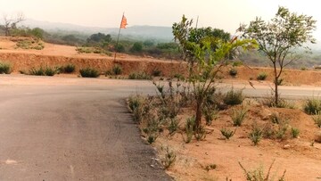 Plot Area in  Plot at Rajapet – for Sale