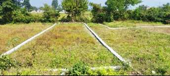 Plot For Resale in Jolly Grant Dehradun  7121540