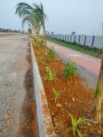  Plot – Exterior View View at Gannavaram - for Sale