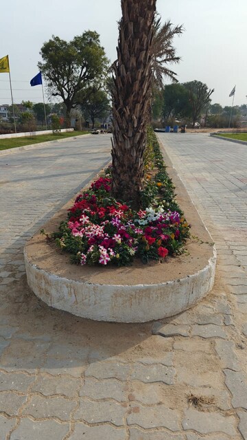 Plot For Sale in Ajmer Road