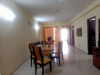 3 BHK Apartment For Rent in Paras Tierea Sector 137 Noida 7123380
