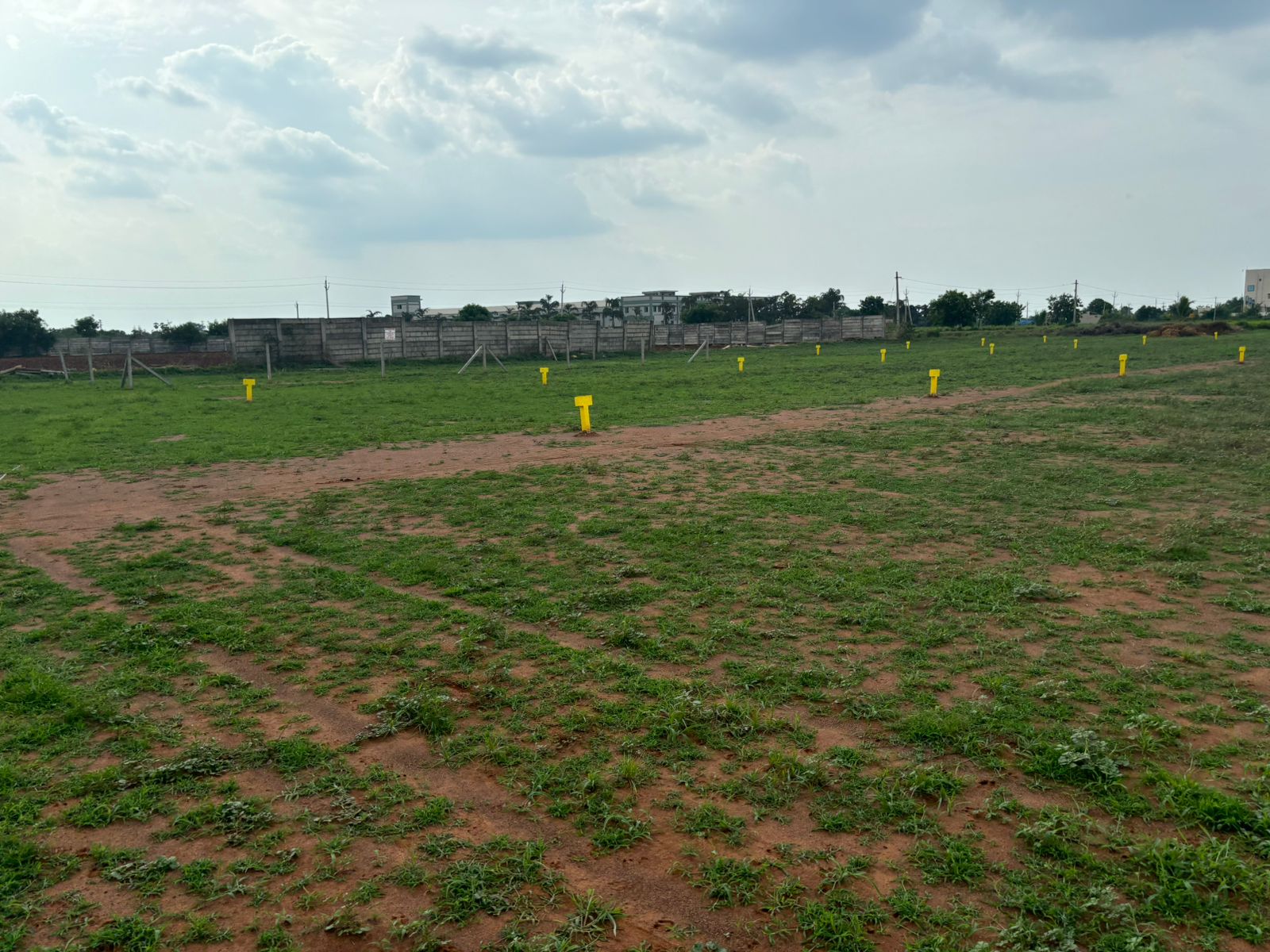 Plot For Resale in Mangalagiri Vijayawada  7123399