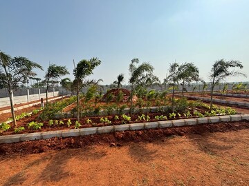 Plot Area in  Plot at Kankipadu – for Sale