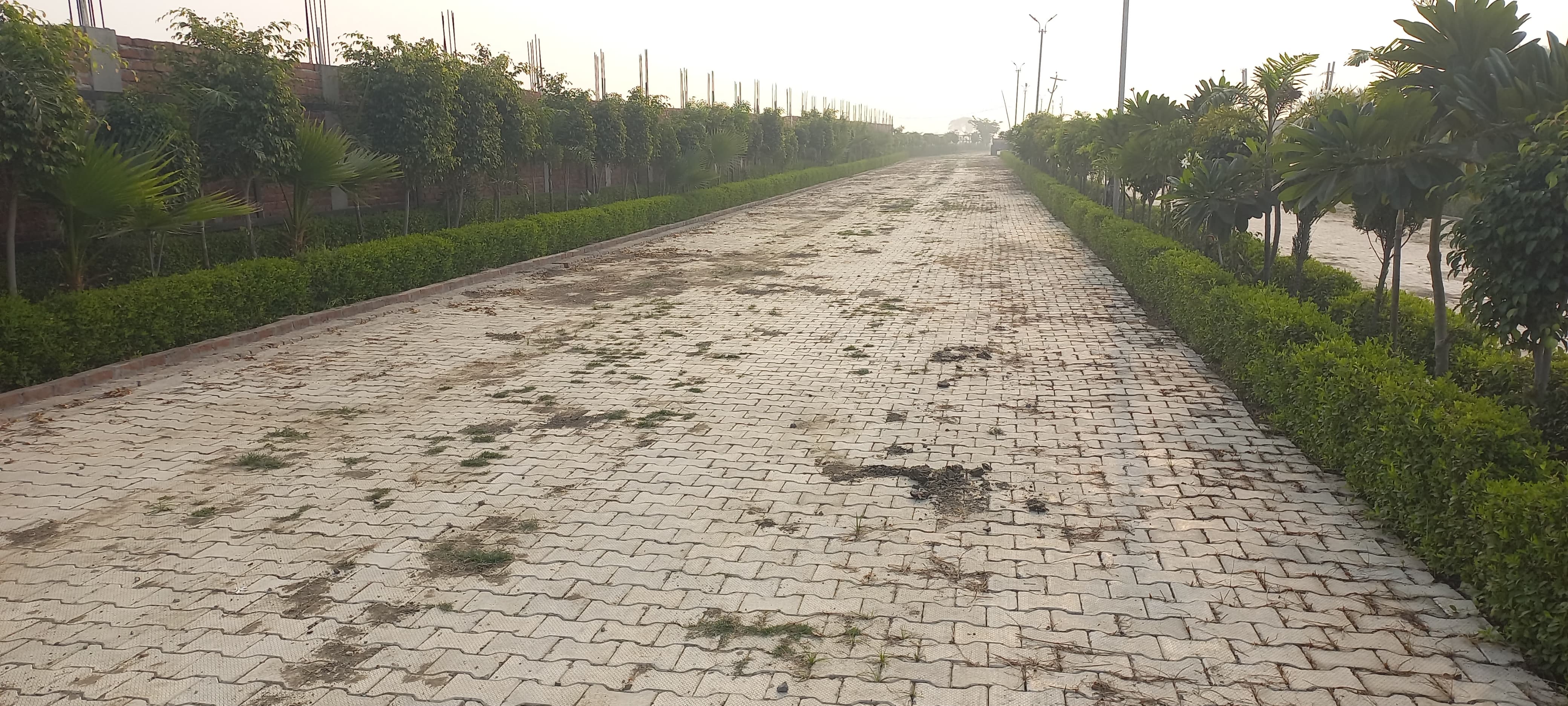 Plot For Resale in Sector 16a Faridabad  7123773