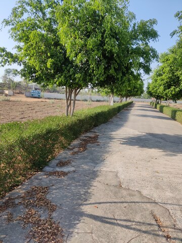 Plot Area in  Plot at Tappal – for Sale