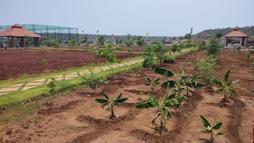 Plot Area in  Plot at Kamkole – for Sale