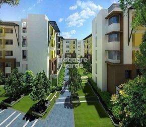 3 BHK Apartment For Rent in Zonasha Elegance Haralur Road Bangalore 7124471
