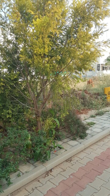  Plot – Garden View at Jr Green Park, Hosur Road - for Sale