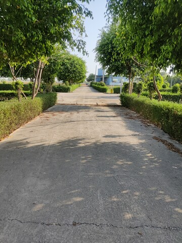  Plot For Sale in Tappal