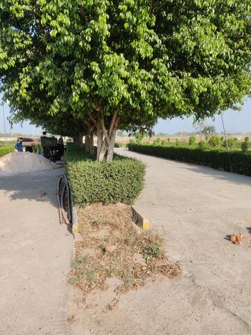  Plot – Garden View at Tappal - for Sale
