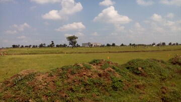 Plot Area in  Plot at Hingna rd – for Sale