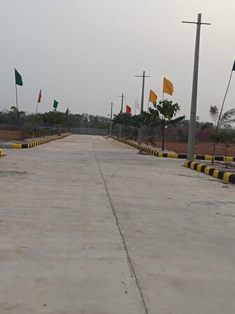 Plot For Resale in Balaji Nagar Warangal  7128391