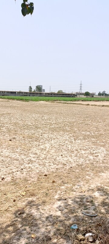  Land For Sale in Bapauli 