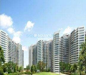 3 BHK Apartment For Rent in Amrapali Pan Oasis Sector 70 Noida  7130938