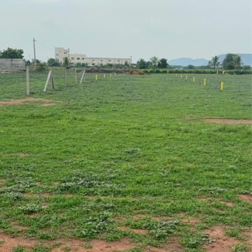 Plot Area in  Plot at Mangalagiri – for Sale