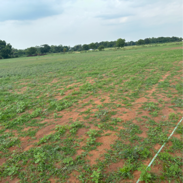  Plot – Garden View at Mangalagiri - for Sale