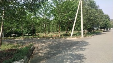 Plot Area in  Plot at Dabbanda – for Sale