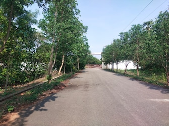 Plot For Resale in Dabbanda Vizag  7131292