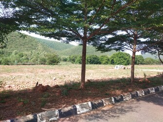 Plot For Resale in Dabbanda Vizag  7131292