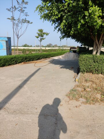 Plot Area in  Plot at Tappal – for Sale