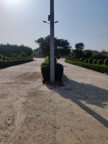 Plot For Sale in Yamuna Expressway