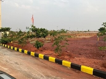 Plot For Resale in Zahirabad Hyderabad  7131456