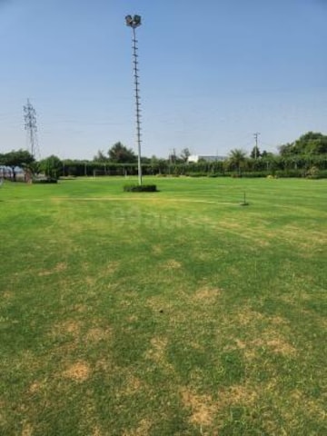 Plot For Resale in Anangpur Faridabad  7132419