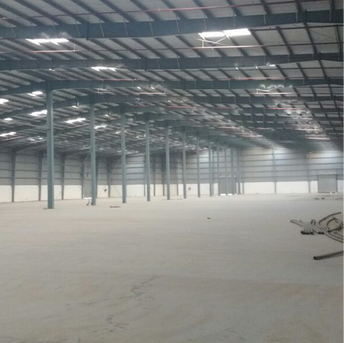 Commercial Warehouse 10000 Sq.Ft. For Rent in Kherki Daula Gurgaon  7132646