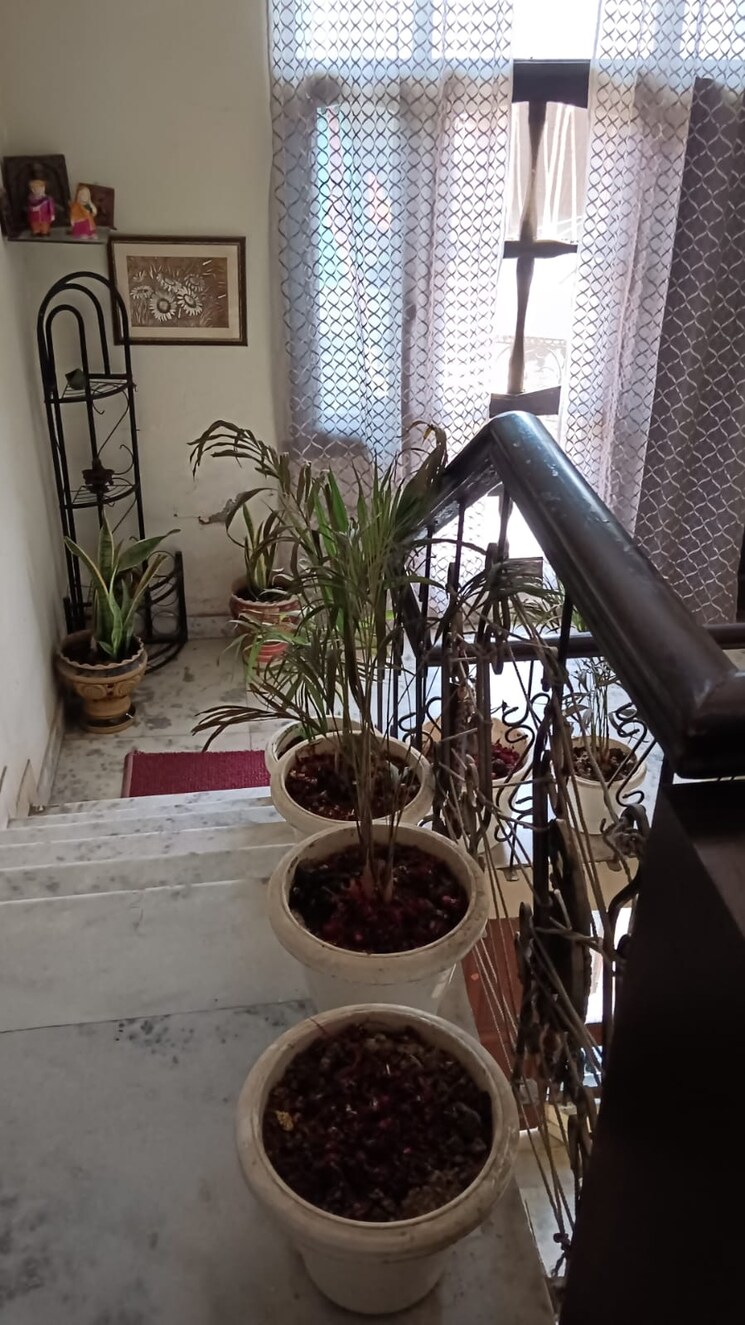 Gym, sector 10 3 Bedroom 1800 Sq.Ft. Builder Floor In Sector 10 Faridabad 7132760