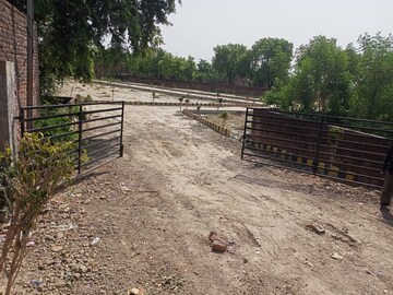 Plot Area in  Plot at Wazirganj – for Sale