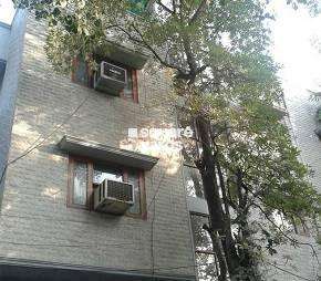 3 BHK Builder Floor For Rent in RWA Saket Block J Saket Delhi  7132878