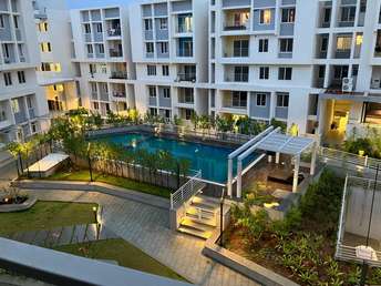 2 BHK Apartment For Rent in Casagrand Lorenza Kogilu Bangalore  7132888
