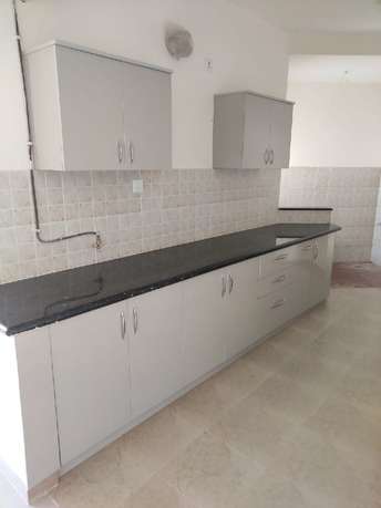 2 BHK Apartment For Rent in Sobha City Mykonos Thanisandra Main Road Bangalore  7133039