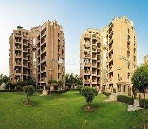 3 BHK Apartment For Rent in ATS Greens I Sector 50 Noida 7133157