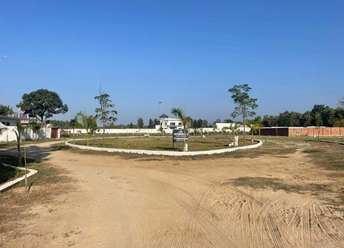 Plot For Resale in Saharanpur Road Dehradun  7133145