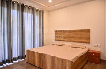 1 BHK Builder Floor For Rent in Hari Bhumi Jannat Khujauli Lucknow  7133257
