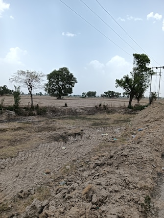 Plot For Resale in Khari Baoli Delhi  7133265