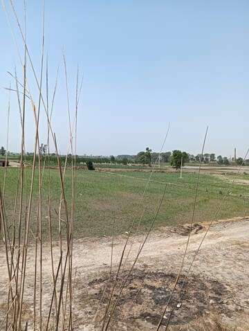 Plot Area in  Plot at Khari Baoli – for Sale