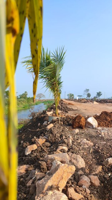 Plot Area in  Plot at Kankipadu – for Sale